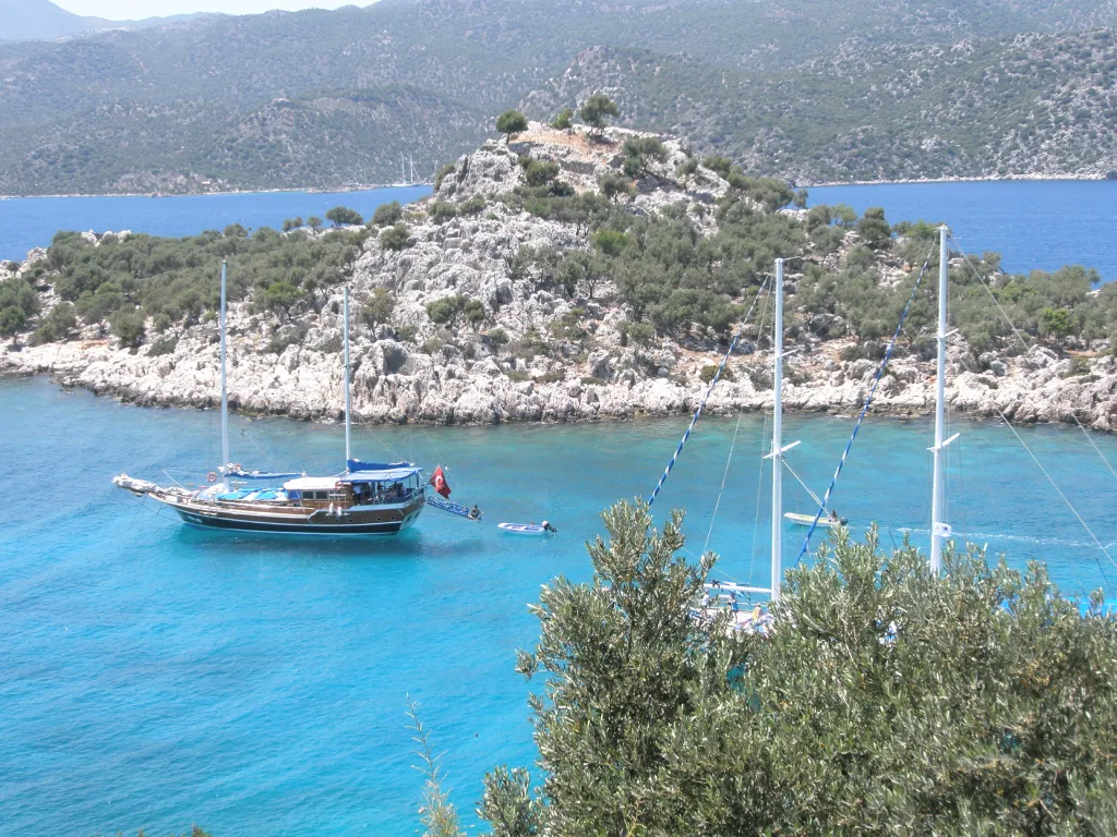 Turkey Cabin Charters